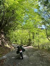GW最終日は伊豆を廻ってみました👍