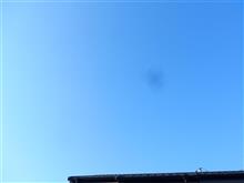 ５月８日　天気が回復した木曜日、おはよ～♪