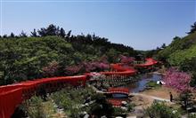 高山稲荷神社 千本鳥居