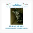 祝・みんカラ歴17年！