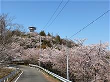 伊予市谷上山＆ふたみ潮風ふれあい公園•伊予上灘駅お花見プチツーリング🚗💨