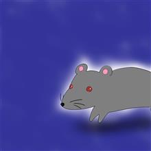 招かれざる珍客… 今度は、ネズミ！！