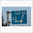 瀬戸内桜巡り①　向島～岩子島　(2025 .4)