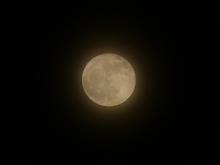今宵はフラワームーン🌕