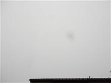 ５月１６日　また霧で真っ白けなラス１な金曜日、おはよ～♪