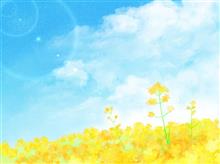 一面黄色