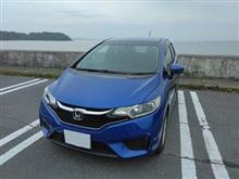 今日は軽く走る