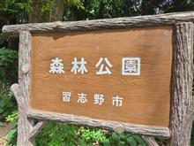 藤崎森林公園