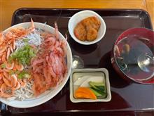 由比のごはん屋さくらへ