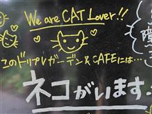 にゃんこスタッフ