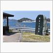 瀬戸内桜巡り④　因島～ゆめしま海道～岩城島　(2025 .4)
