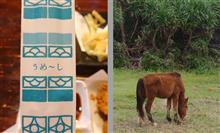 日本の端 八重山諸島 7 -与那国島[お料理・馬]-