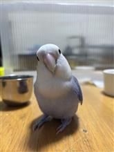 10周年おめでとうございます㊗️