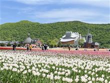 上湧別チューリップと滝の上芝桜