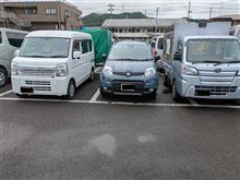 みっしり…