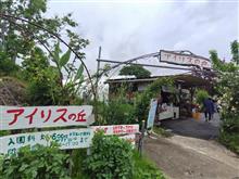 アイリスの丘