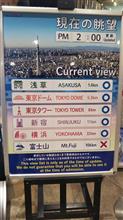こんな看板が出来上がってた････