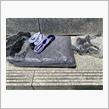 製品レポート・・・４-㊼の画像