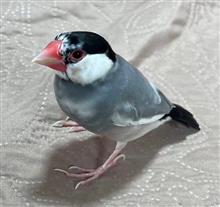 やったぜ👏