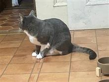 お昼休み