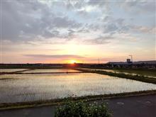 新緑と束の間の安寧