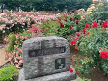 ５月なにしてたか。