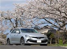マークＸ、はじめてのトラブル 