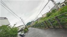 雨が止んだのでお買い物