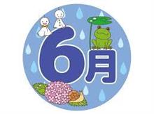 25年 6月です。ここ3ヶ月で購入したもの。 25年 6月です。ここ3ヶ月で購入したもの。