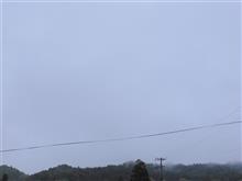 ６月１日　６月の始まりな日曜日、おはよ～♪