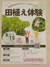 田植え体験