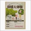 田植え体験