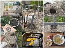 家売却後小屋は畑活で点検中。