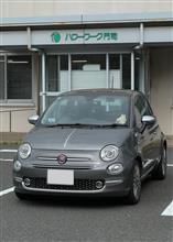 2025/6/3　今日も、やる事のない一日