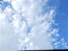 ６月４日　天気が回復する水曜日、おはよ～♪