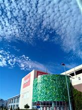 今日は夏日の予報です〜！