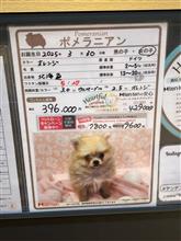 タッチ決済