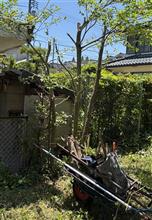 ぶった切る　(≧∀≦)