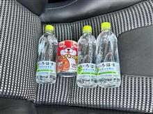 今月のお墓参り