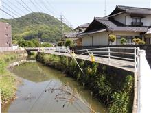 麻里布川の四季(その９5　交通事故の痕跡)
