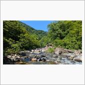 渓流釣りで見たものは・・・