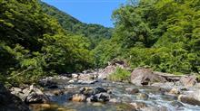 渓流釣りで見たものは・・・