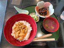 今年もウニを求めて