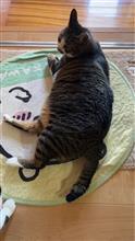久しぶりに陸運支局へ