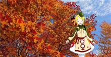 紅葉巡りビーナスライン♪
