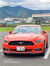 綾部のバラ園に2025.6.4😁