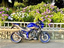 紫陽花を求めて🏍️💨