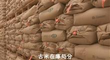 備蓄米…セクシー大臣の米＝小泉ナナヒカリ(仮名）