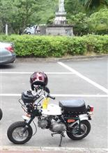 中華で頑張る