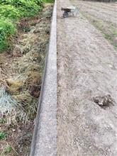 玉葱畑→水田　持ち出し分